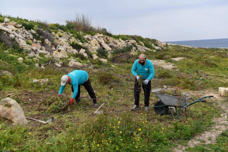 Inwadar Ulusal Parkı’na bir orman kazandırılacak