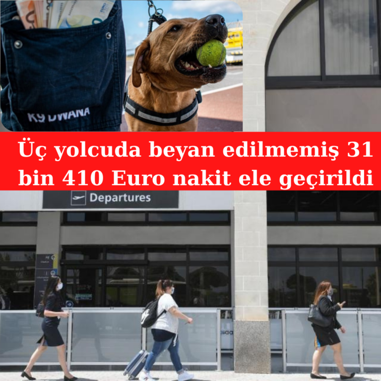 Beyan edilmemiş 31 bin 410 Euro nakite el konuldu