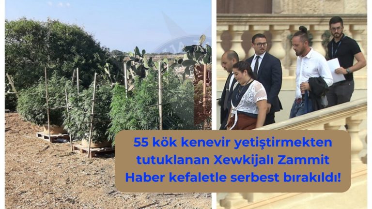 Kenevir yetiştirmekten tutuklanan çiftçi kefaletle serbest!