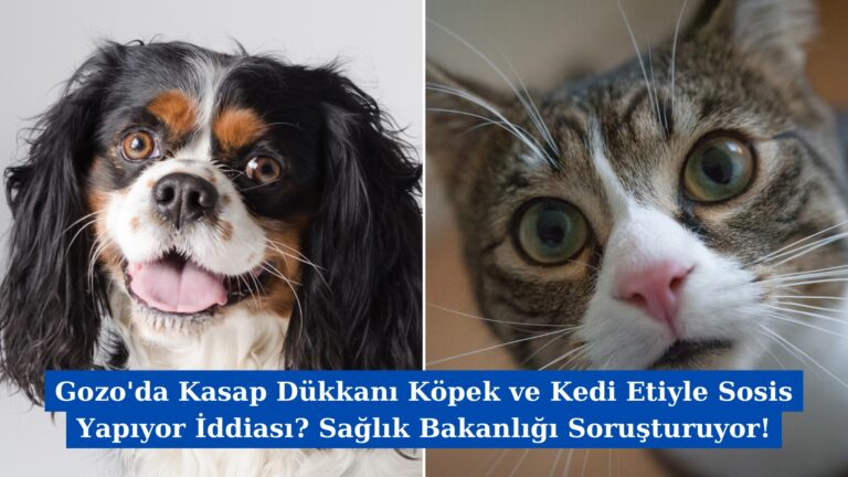 Gozo’da Kasap Dükkanı Köpek ve Kedi Etiyle Sosis Yapıyor İddiası? Sağlık Bakanlığı Soruşturuyor!