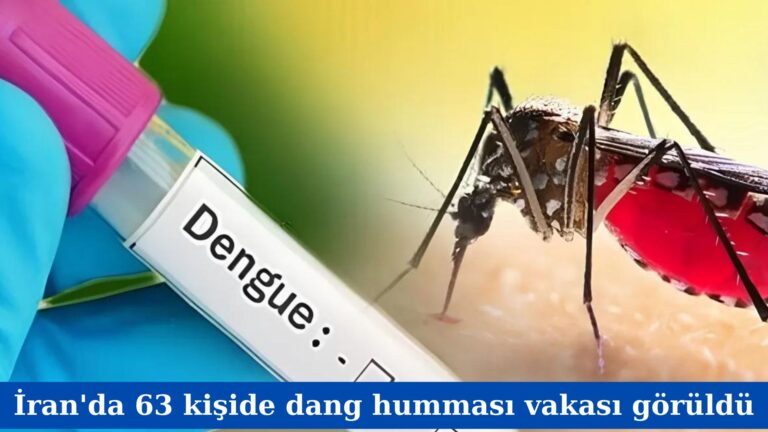 İran’da 63 kişide dang humması vakası görüldü