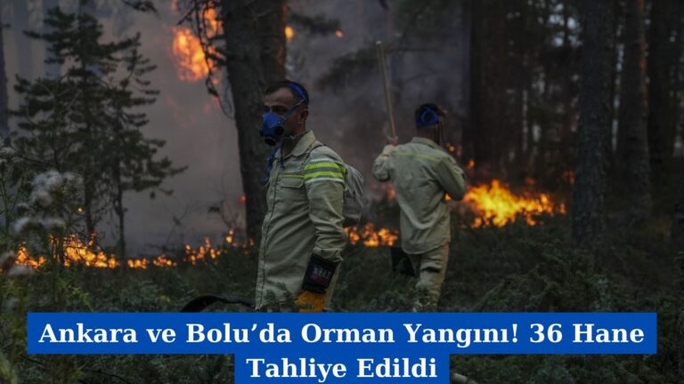 Ankara ve Bolu’da Orman Yangını! 36 Hane Tahliye Edildi