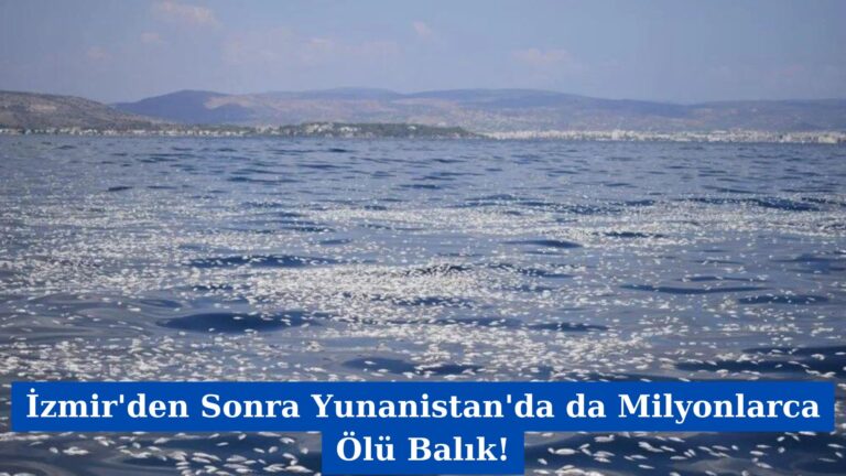 İzmir’den Sonra Yunanistan’da da Milyonlarca Ölü Balık!